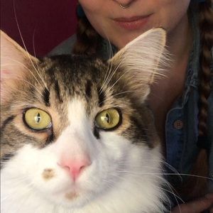 Meet your Posher, Ashley